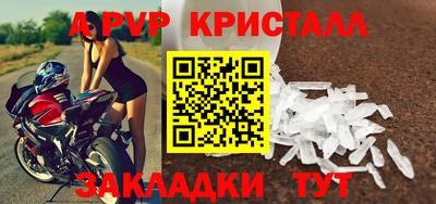 дмт Гай