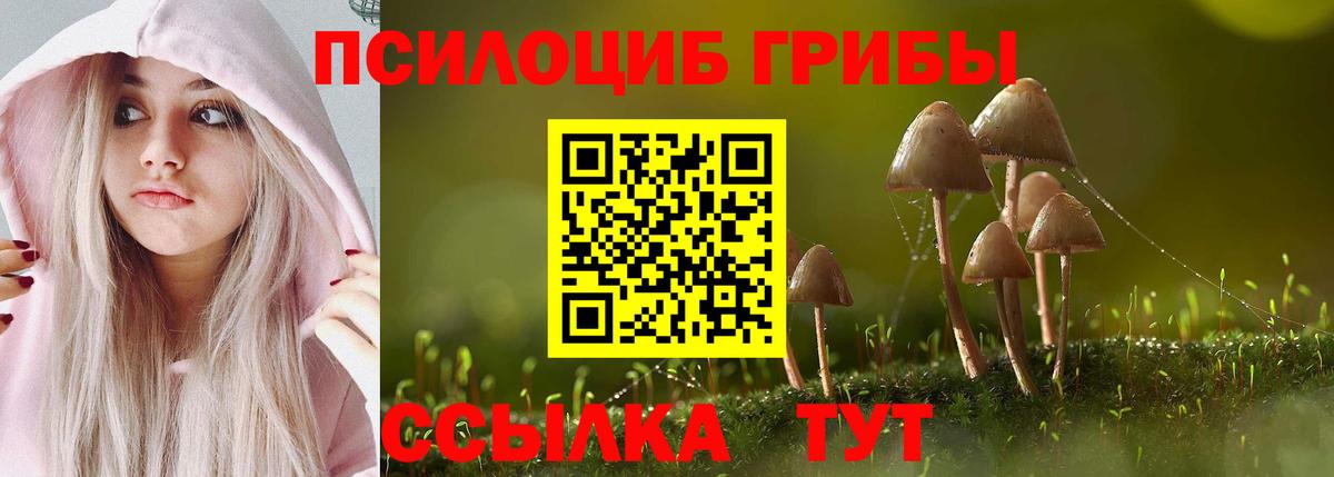 Галлюциногенные грибы Magic Shrooms  Вход с VPN  Богородицк  Псилоцибиновые грибы Psilocybe 